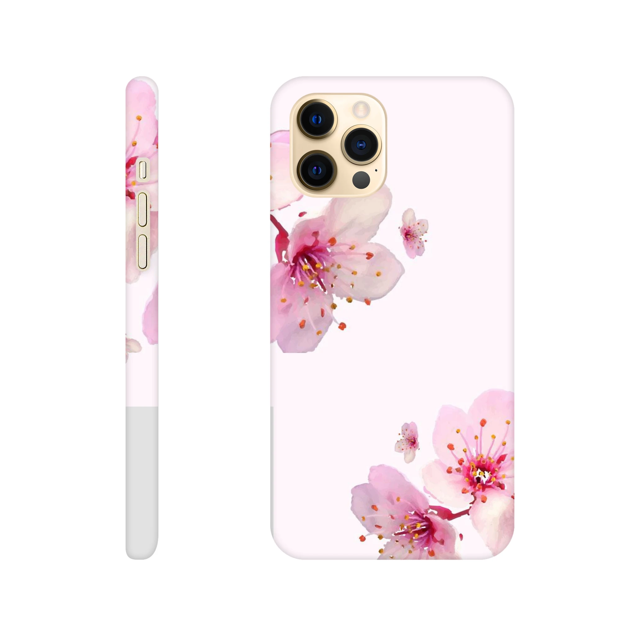 25cc8aec-2259-424e-b205-c3f700e20031